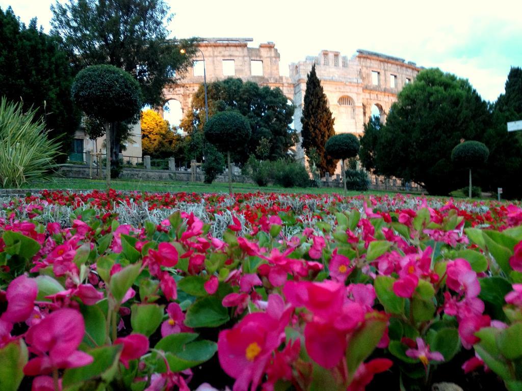 Amphitheater Apartment Pula Bagian luar foto